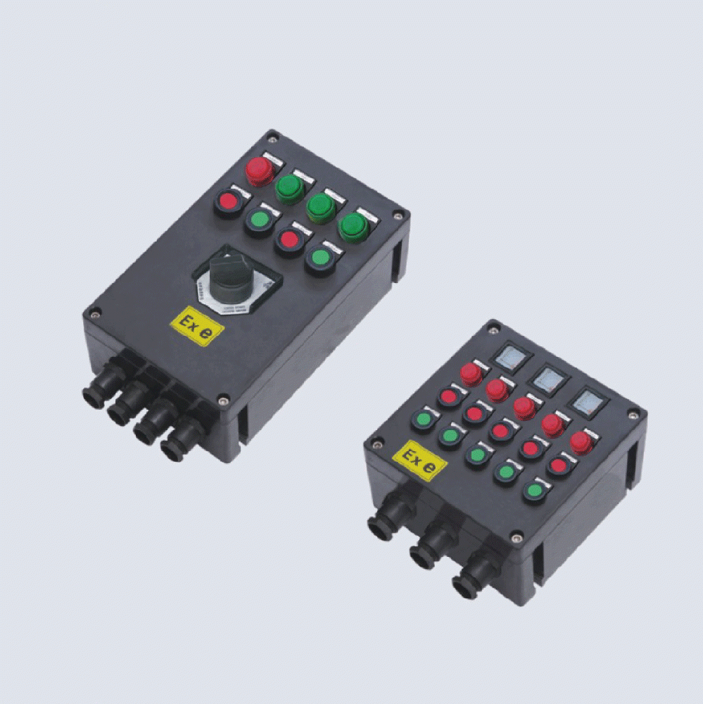 BXK8050-系列防爆防腐控制箱(IIC、 ExtD)