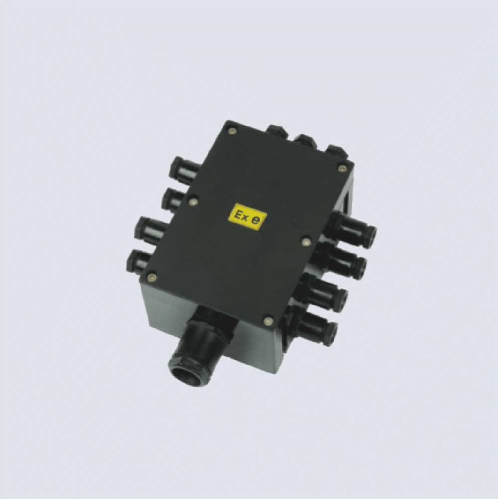 BJX8050系列防爆防腐接線箱(II C、 ExtD)